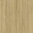 Cat 5 - Rhapsody - 1mm Edge-banding
